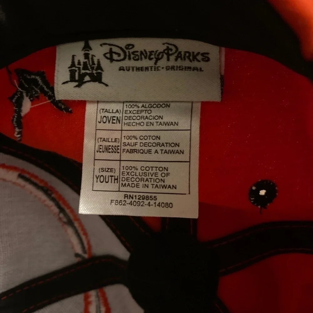 Disney disneypark nightmare